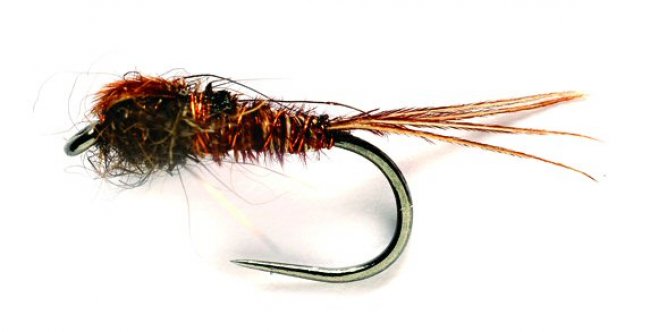 Size 16 pheasant tail nymph